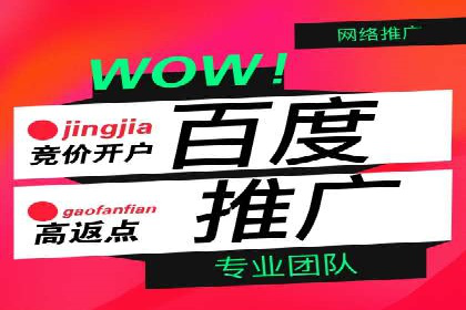 搜索开户返点案例解析：揭秘赚钱秘诀